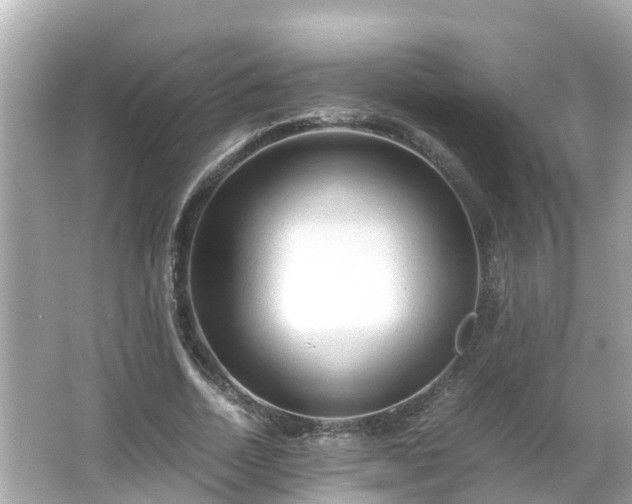 X0000066000730200603101530