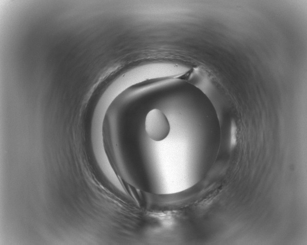 X0000066000731200603101530