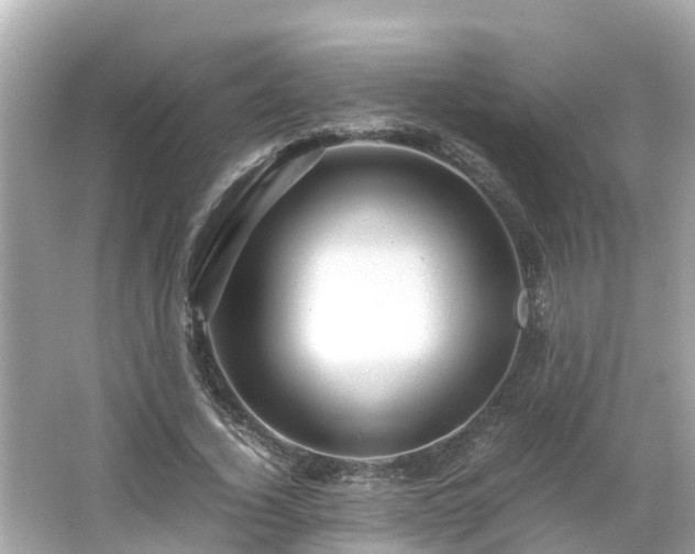 X0000066000732200603101530