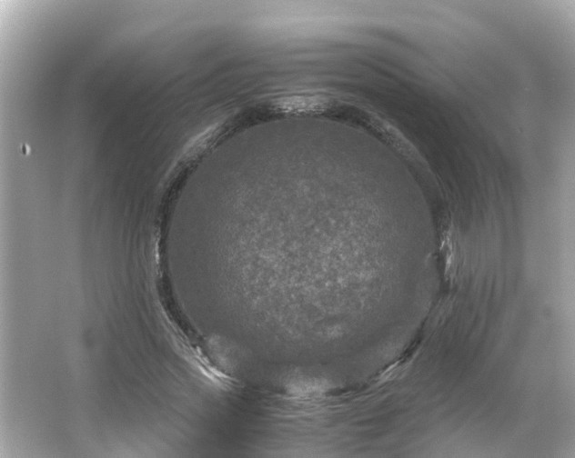 X0000066000733200603101530