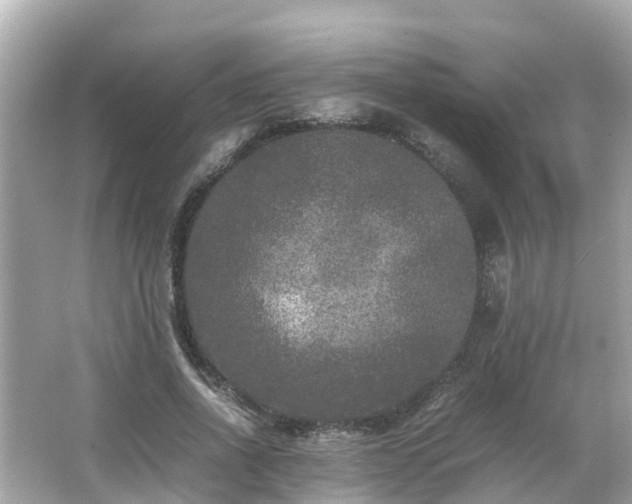 X0000066000734200603101530