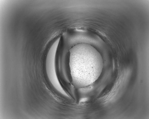 X0000066000735200603101530