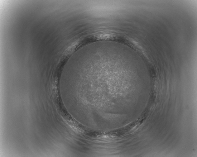 X0000066000737200603101530