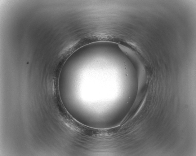 X0000066000740200603101530