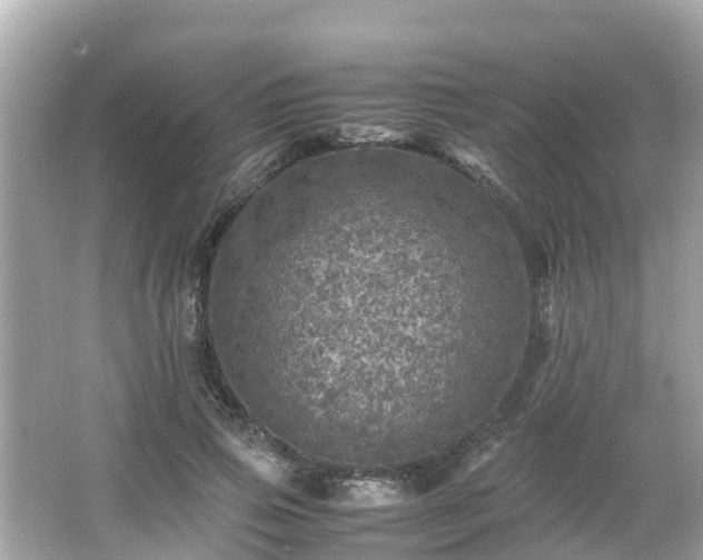 X0000066000741200603101530