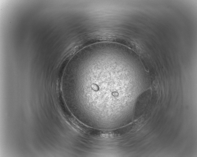 X0000066000744200603101530