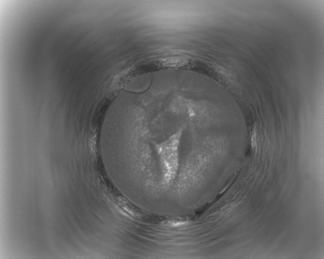 X0000066000745200603101530