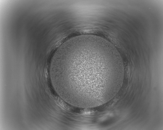 X0000066000746200603101530