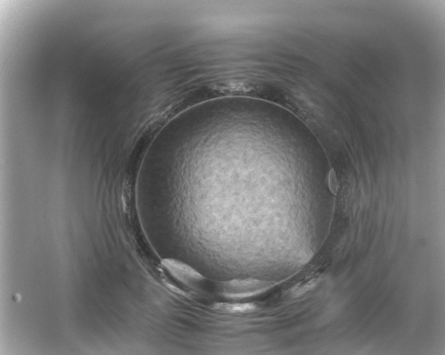 X0000066000747200603101530