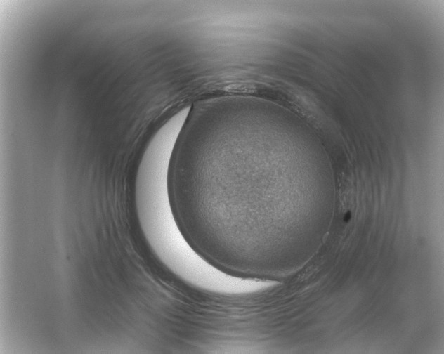 X0000066000748200603101530