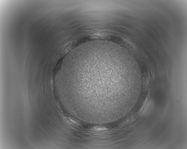 X0000066000749200603101530