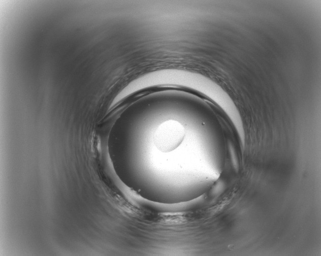 X0000066000750200603101530