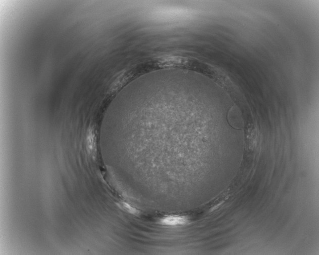 X0000066000753200603101530