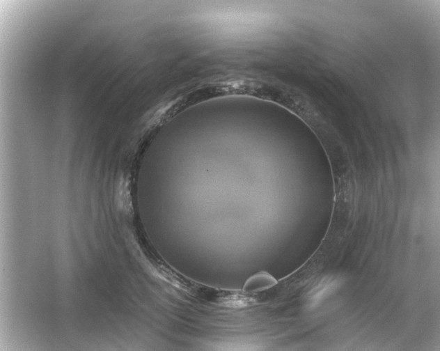 X0000066000754200603101530