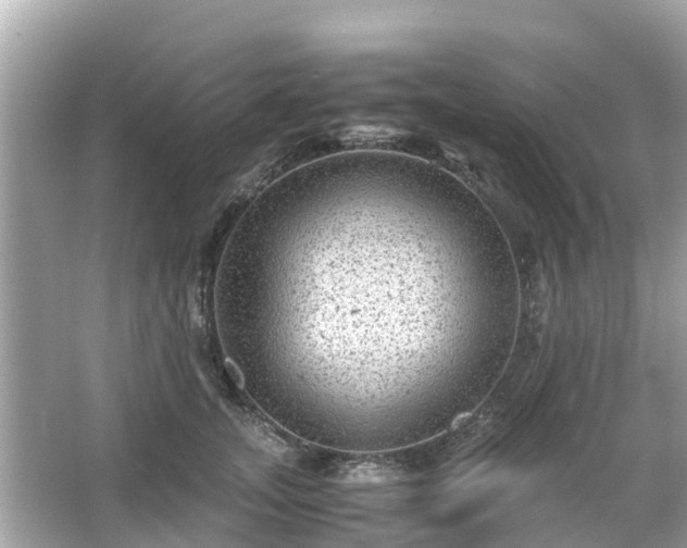 X0000066000755200603101530