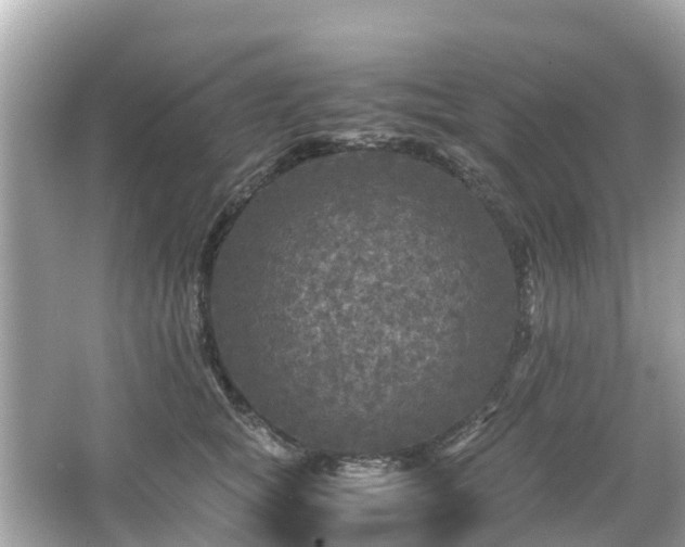 X0000066000757200603101530