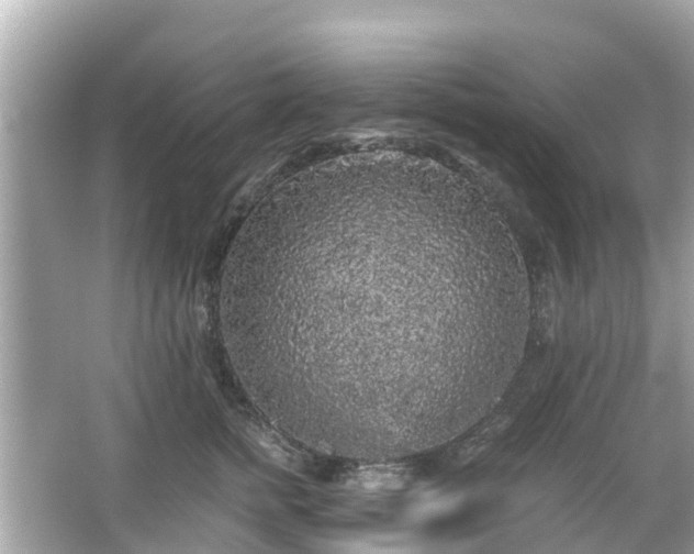 X0000066000758200603101530