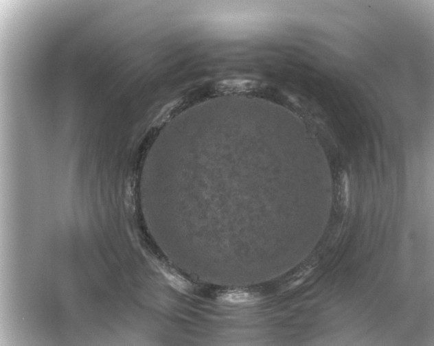 X0000066000759200603101530