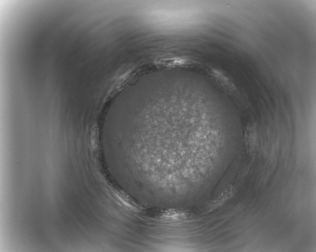 X0000066000760200603101530