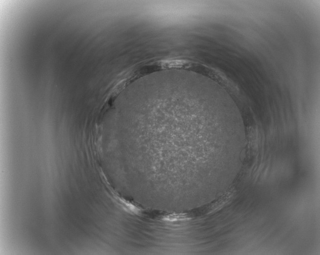 X0000066000761200603101530