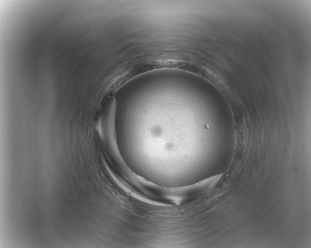 X0000066000762200603101530