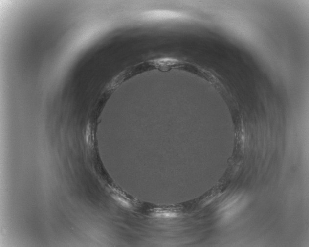 X0000066000763200603101530