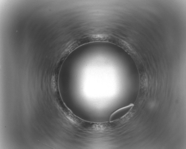 X0000066000764200603101530