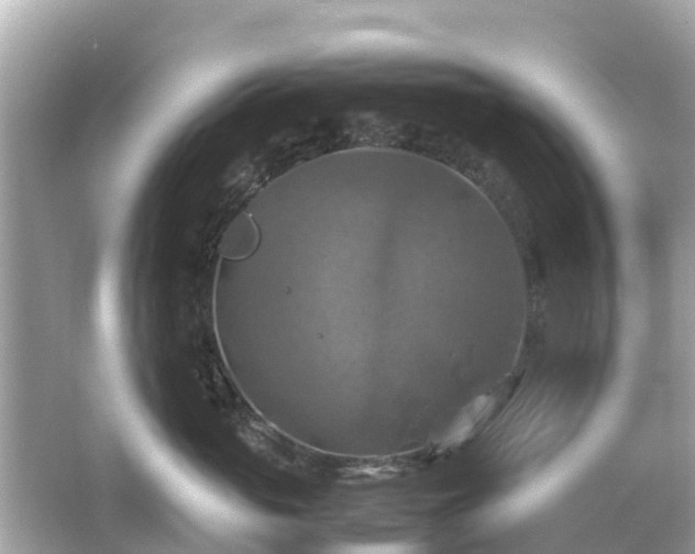 X0000066000765200603101530