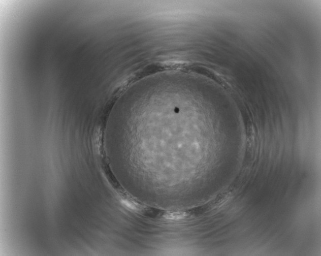 X0000066000767200603101530