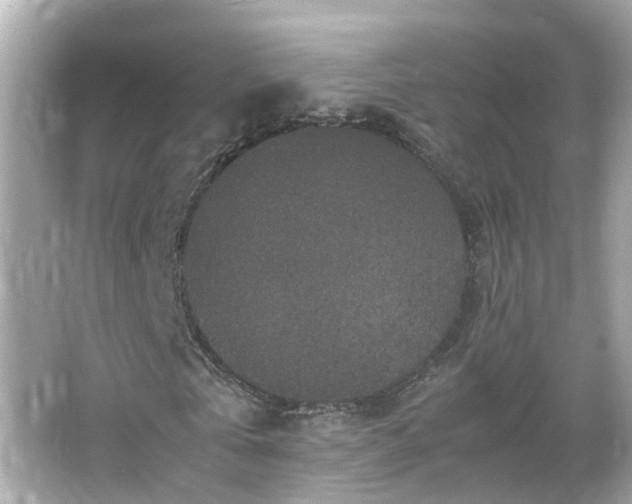 X0000066000769200603101530