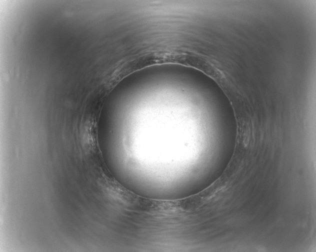 X0000066000770200603101530