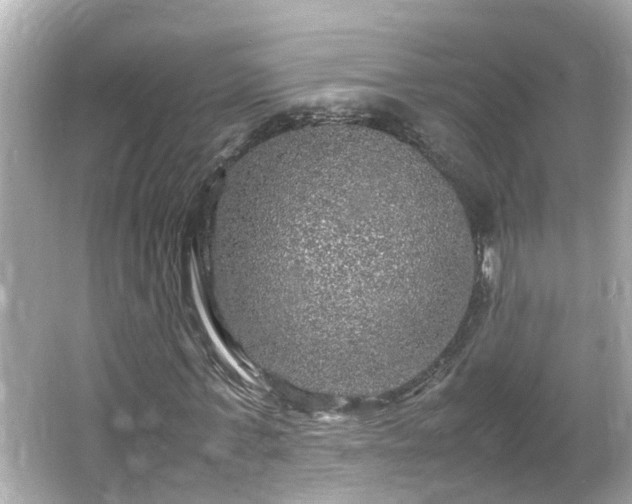 X0000066000771200603101530