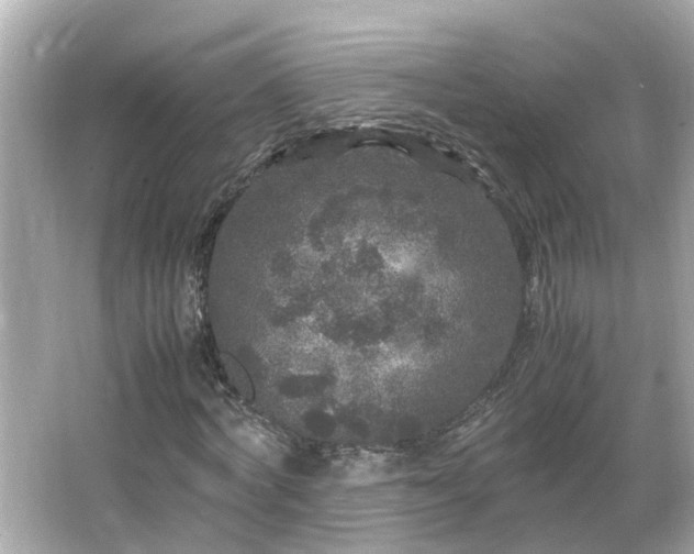 X0000066000772200603101530