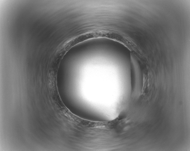 X0000066000773200603101530