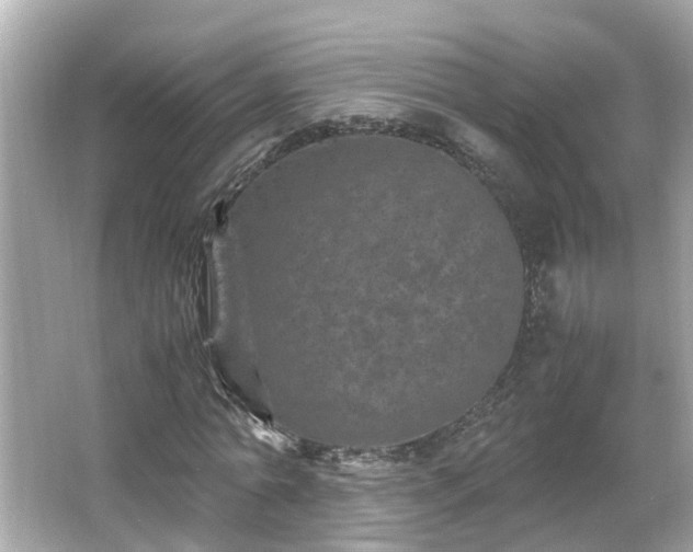 X0000066000774200603101530