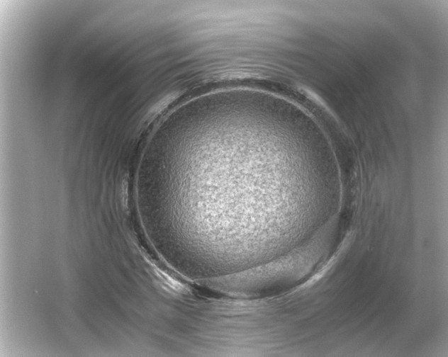 X0000066000777200603101529