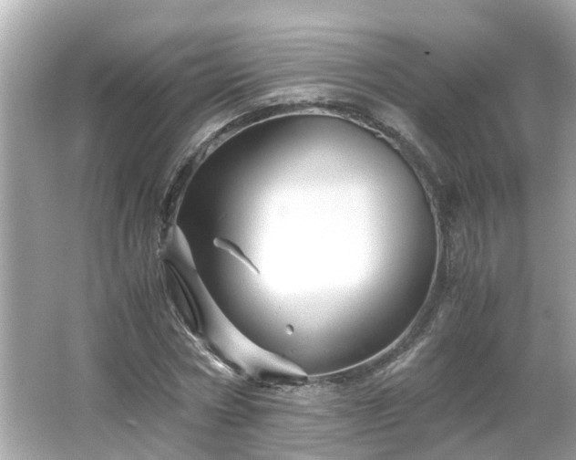 X0000066000778200603101529