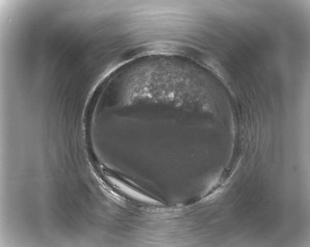 X0000066000779200603101529