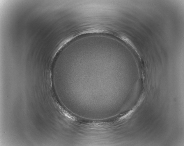 X0000066000781200603101529