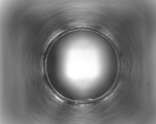 X0000066000782200603101529