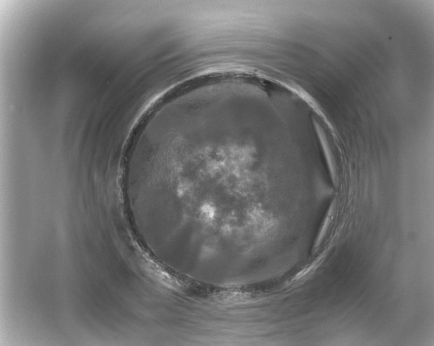 X0000066000783200603101529