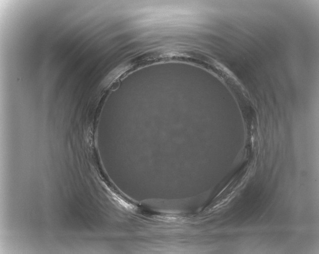 X0000066000785200603101529