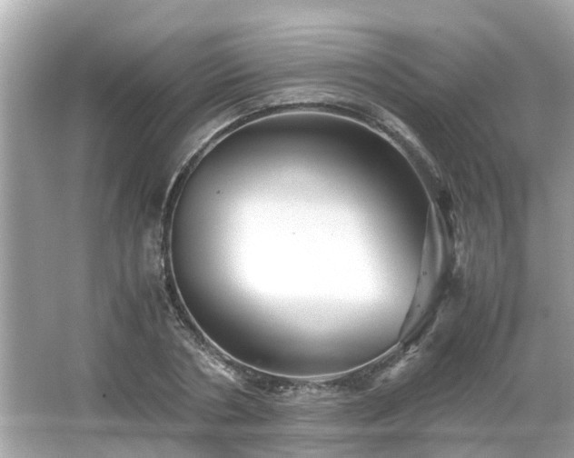 X0000066000786200603101529