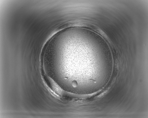 X0000066000787200603101529