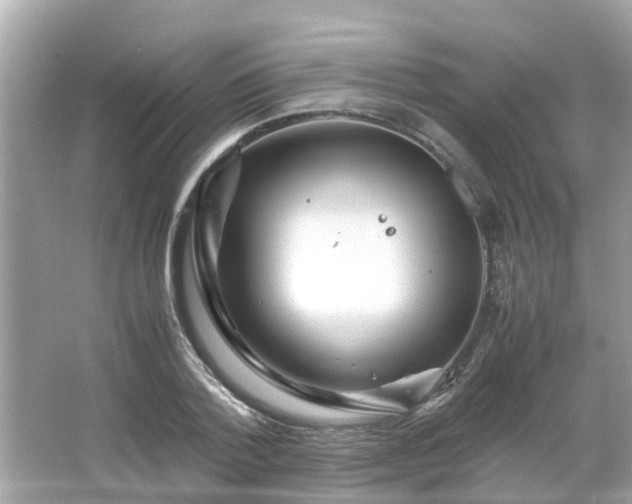 X0000066000788200603101529