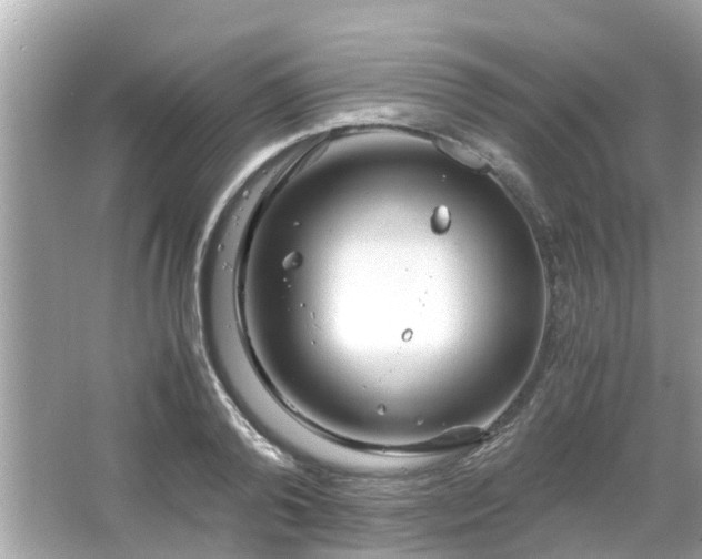 X0000066000792200603101529