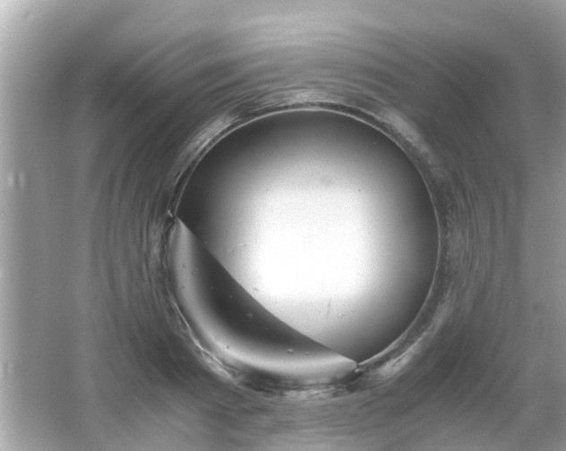 X0000066000793200603101529