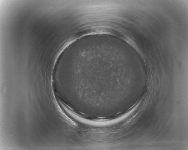 X0000066000797200603101529