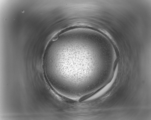 X0000066000799200603101529