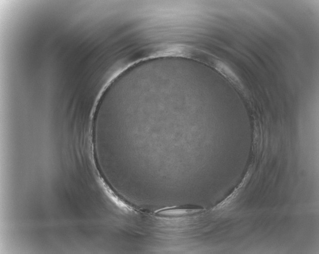 X0000066000800200603101529